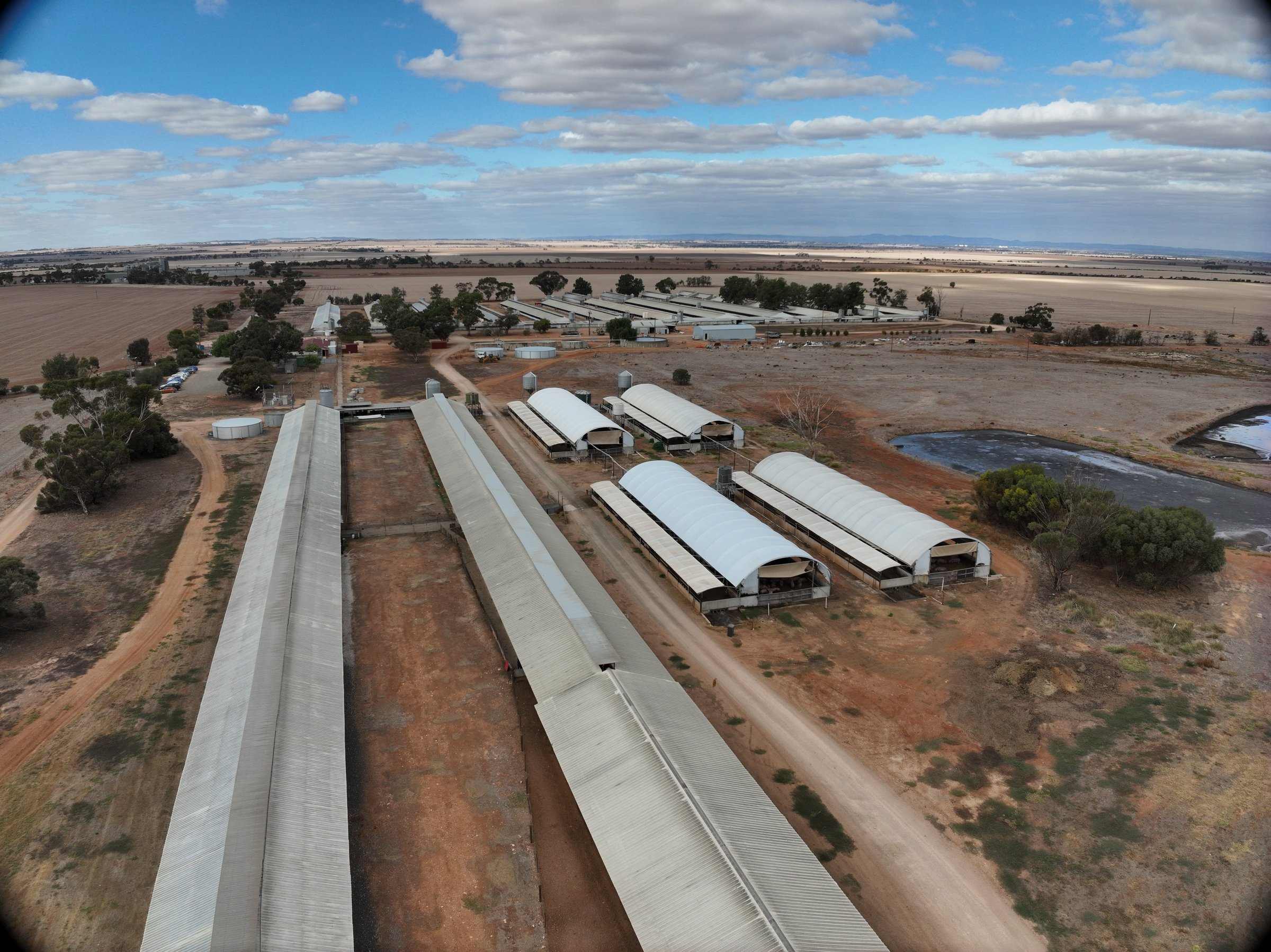 Aerial view of the Wasleys site in South Australia, with long farm sheds and a lagoon